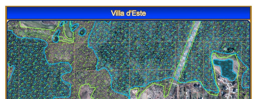 Villa d Este (JSP17-0052) Woodland Review of the Revised PRO Concept Plan