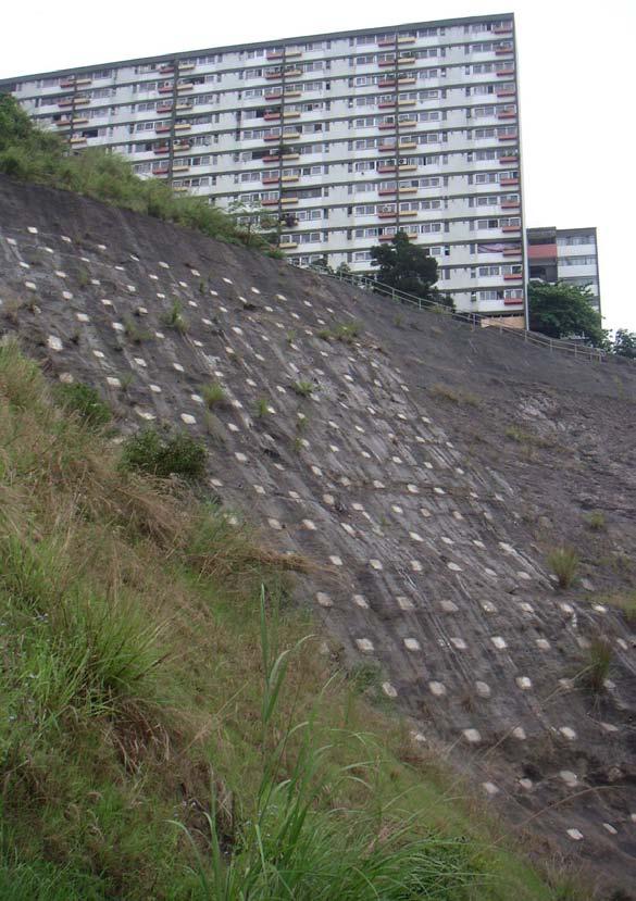 concrete surface with soilnails