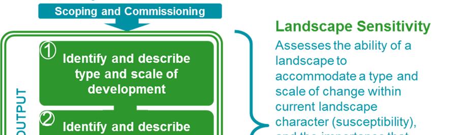 5 Summary of the LSCA assessment method Figure 8: Flow diagram showing stages of LSCA.