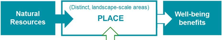 4 General Landscape principles 4.1 The concept of landscape Shaped by nature and people over time, landscapes are the settings in which we live, work and experience life. All landscapes matter.