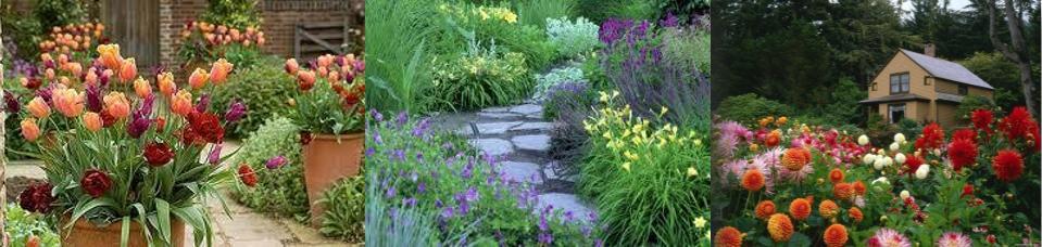 interest Herbaceous Plants Provide Seasonal Color Before going to garden center and