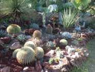 The diversity of flora on the property includes succulents, cactus, native plants, fruit trees & traditional favorites complimenting each other to make up a tranquil & welcoming garden space.