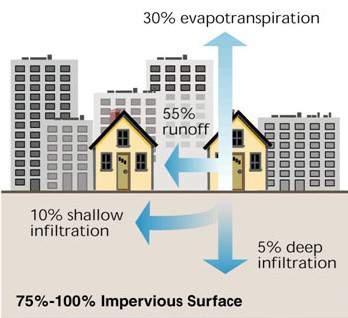 Key points include: 1) more impervious surfaces (concrete, asphalt, roofs, etc.