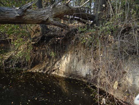 Severe erosion was observed at 18531 Bull Creek Drive, where a vertical bank occurs at a pool below a log jam. Part of this log jam was removed recently.