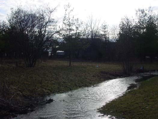 The Northwest Tributary was also investigated between Saint Andrews Drive and Leesley Court. This tributary begins near Route 137 and traverses an 30903 Leesley Ct.