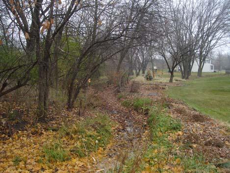 the creek and seeding of native vegetation. The eastern portion of the tributary at 30850 Saint Andrews Dr.