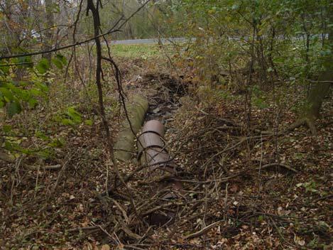 It is recommended that this pipe be daylighted (removed) and a stream channel created and planted with native vegetation. This will help reduce water velocity downstream.