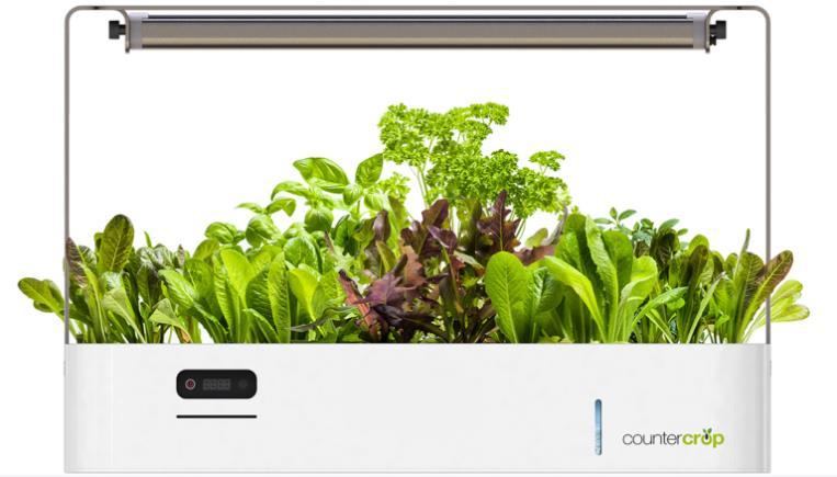 CONNECTED CONSUMERS 30 CounterCrop: funded through