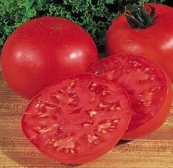 75 Cherry Tomato (Super sweet 100) 4.75 Green Bell Pepper 4.