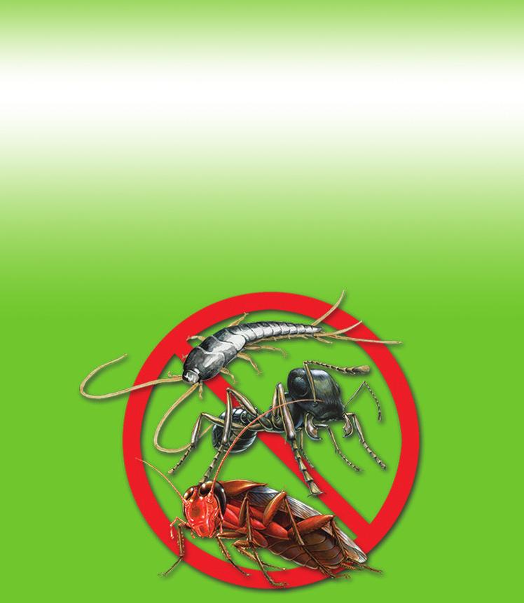 Kill and Control Ants (except fire ants), Cockroaches, Crickets, Earwigs and Silverfish FOR THE CONTROL OF: FOR BOTH INTERIOR CRICKETS FOR BOTH INTERIOR AND EXTERIOR & EXTERIOR USE USE ACTIVE