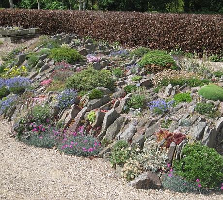 The Garden at the AGS Centre, Pershore is open for visiting by anyone interested in alpines and related small hardy plants (perennials, bulbs, ferns, dwarf conifers, etc.