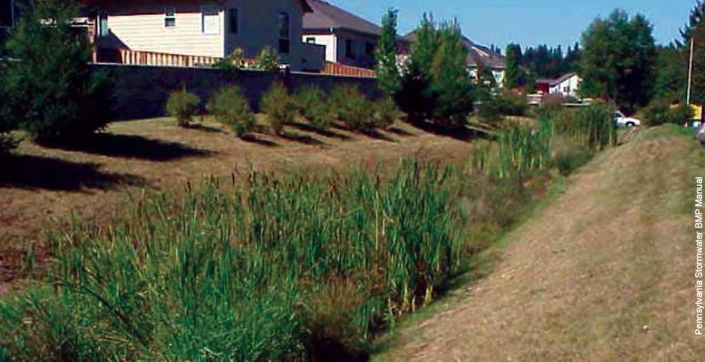 Swales in the Urban Landscape Swales are landscaped channels that convey storm water and reduce peak flows by increasing travel time and flow resistance.