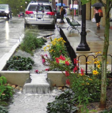 infiltrate runoff from impervious surfaces.