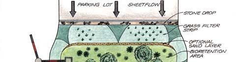 Bioretention areas are vegetated structural stormwater treatment facilities that offer an aesthetically pleasing alternative to pavement or Figure 1: An Example of a Bioretention System (This system
