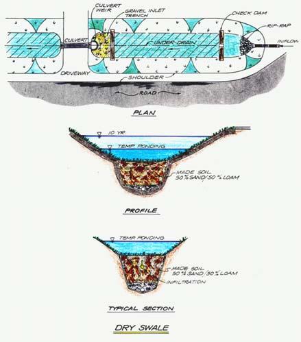 Schueler, 1996) Figure 4: Schematic of a Wet Swale (Claytor &