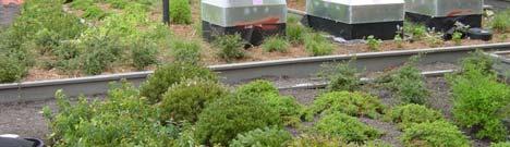 Fully saturated green roofs can provide fire resistance and inhibit the spread of fire from adjacent buildings.