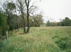 Site Reforestation/Revegetation Description Site reforestation/revegetation refers to the process of planting trees, shrubs and other native vegetation in disturbed pervious areas to restore them to
