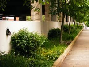 Site planning and design teams should strive to design stormwater planters that can accommodate the stormwater runoff volume generated by the target runoff reduction rainfall event (e.g., 85 th percentile rainfall event).