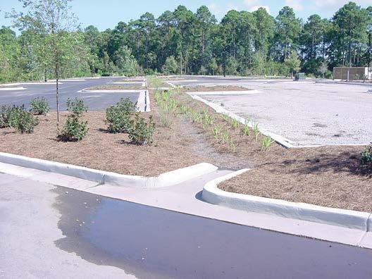 Discussion Bioretention areas are one of the most effective stormwater management practices that can be used in coastal Georgia to reduce post-construction stormwater runoff rates, volumes and