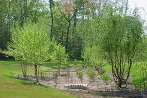 Bioretention areas differ from rain gardens (CSS Section 7.8.9), in that they are designed to receive stormwater runoff from larger drainage areas and may be equipped with an underdrain.