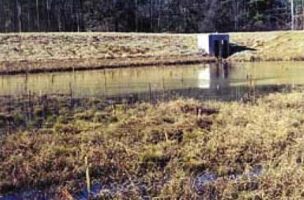 a shallow wetland. The wet pond cell is used to trap sediment and reduce stormwater runoff velocities upstream of the shallow wetland cell.