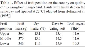 Position in Canopy Effects Mango Ripening and Texture Braz. J.