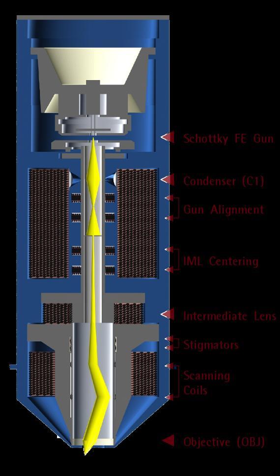 SEM Column High Resolution Schottky FEG SEM Point source high brightness Schottky emitter