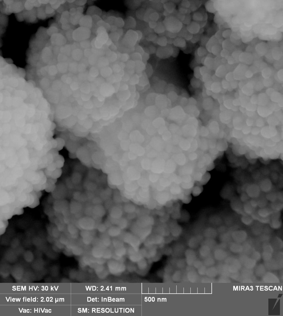 In-Beam Detector Nanofibers (gold