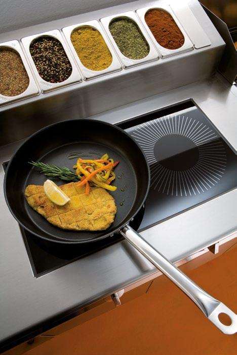 Spicy Induction Top HP Ideal for: Quick Service Restaurant Find everything you need to spice up your recipes at arm s length.