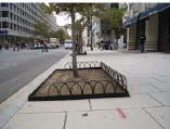 B. Minimum Standards 1. The Streetscape Each STREET shall have canopy shade trees (STREET TREES).