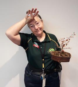 NSBC Club Details Northern Suburbs Bonsai Club meets in the Lalor Library Meeting Room, May Rd Lalor, Melways 8K6 on the 2 nd Thursday of each month with the exception of January from 7:30pm to