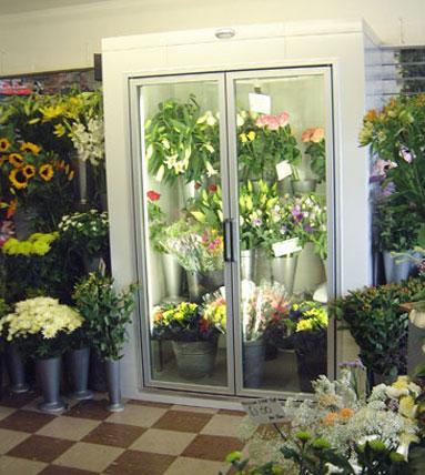 Cut Flower Storage/Display Facilities When choosing a cooler look for one that not only will provide proper