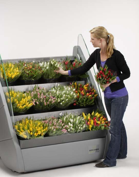 Cut Flower Storage/Display Facilities An open-air cooler will not maintain the favourable conditions as well as an enclosed cooler but is preferred for