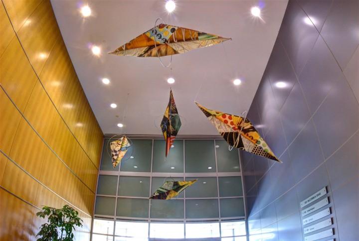 It enlivens open, glass-enclosed offices These kites grace the lobby of office building in Upper Marlboro, Md. The designers couldn t hang anything on the wood walls, so they took to the ceiling.