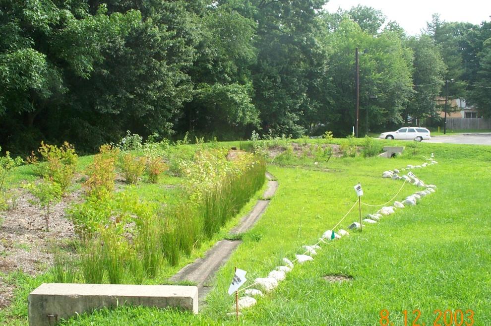 5 NATURAL STORMWATER BASIN Basic Info: Broad, shallow channel