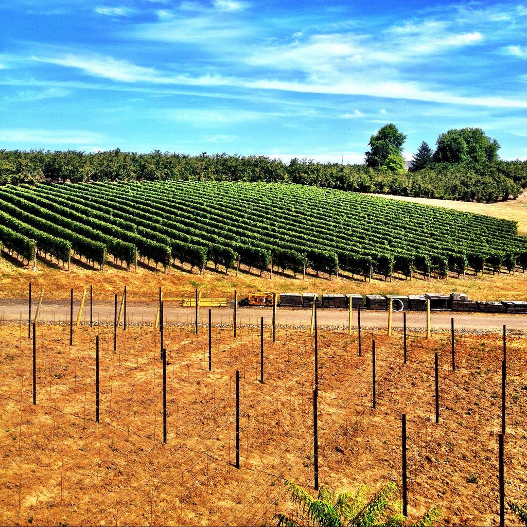 University District is also located in the heart of the wine country, just south of Santa Rosa