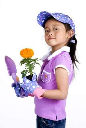 School gardening enhances students lives School gardening has been shown to increase self-esteem, help students