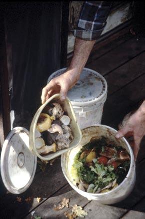 Steps to Successful Food Scrap Composting Food scraps can be a great source of nutrients for the garden.