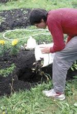 Burying Food Scraps in the Garden Burying food wastes at least 8 inches deep in the garden is a safe and easy way to compost.