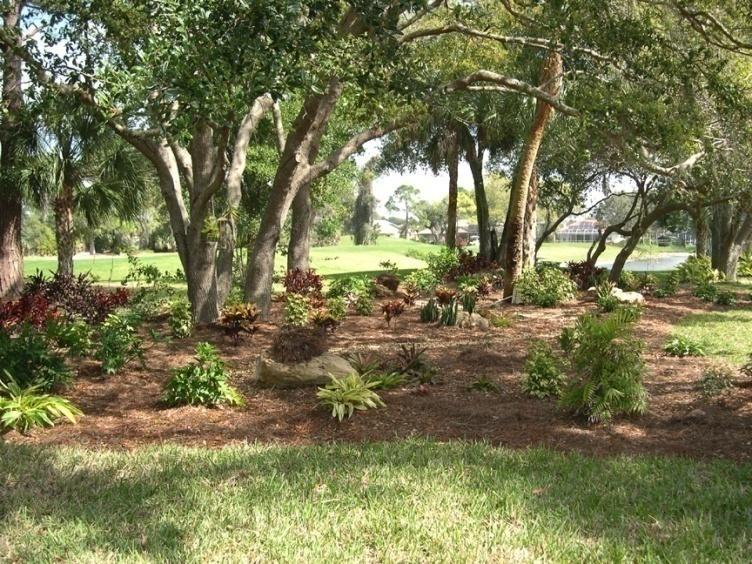 Florida Friendly Native Landscaping Three related topics had the greatest support: Require Municipal Use of Xeriscaping Build