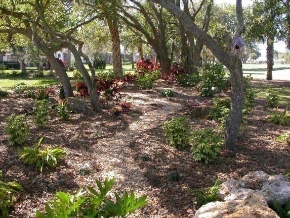 A properly maintained Florida-friendly yard can help homeowners conserve water and reduce pollution of water resources.
