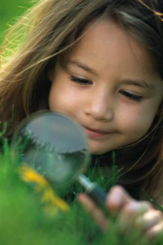 Intellectual Teaches and promotes environmental stewardship. Develops math and science process achievement and skills.