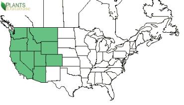 Reported in Walla Walla, Columbia, Garfield, and Asotin counties by the USDA Plants Database.