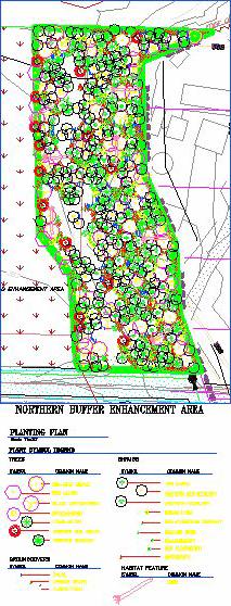 Conceptual Design-Buffer No CAD design was done for riparian or buffer areas; instead: Target habitat types were identified and acreages were identified Reference sites nearby were evaluated to