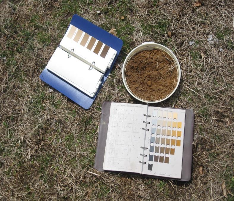 SOIL COLORS Dark soil usually = high organic matter Red/yellow = iron oxides = rust (hematite & goethite) Color change from red to