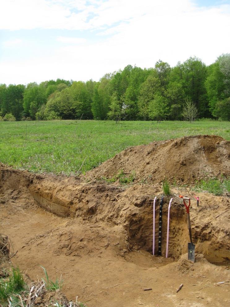 SOIL FORMATION CLIMATE BIOTIC