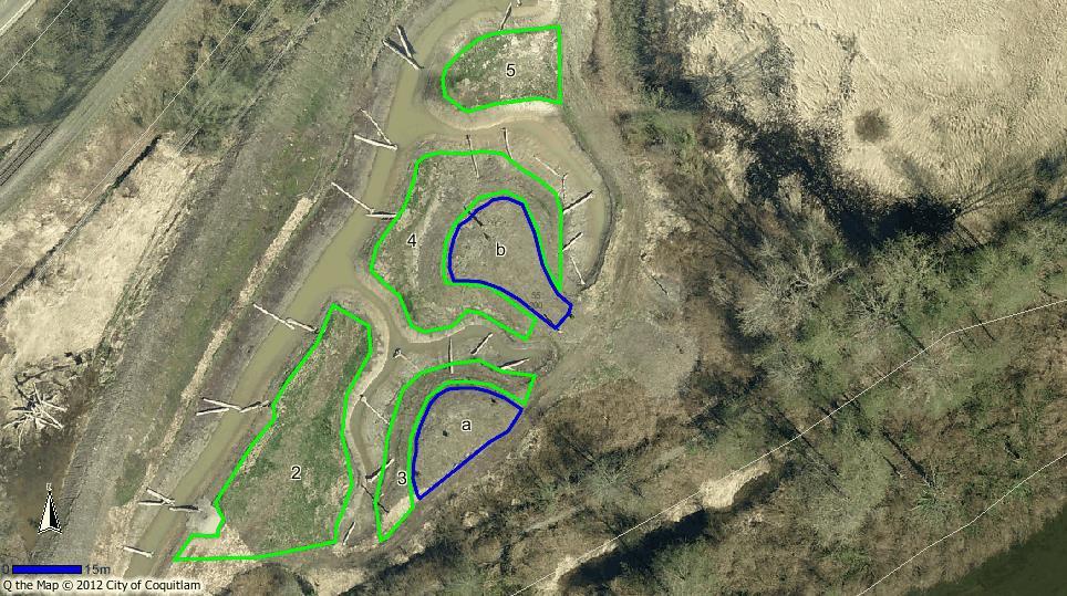 Green-outlined areas 1, 2 and 5 were mown (spring) and hand trimmed (fall), and some