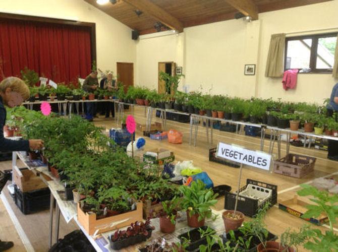 PLANT SALE- SATURDAY 12 TH MAY