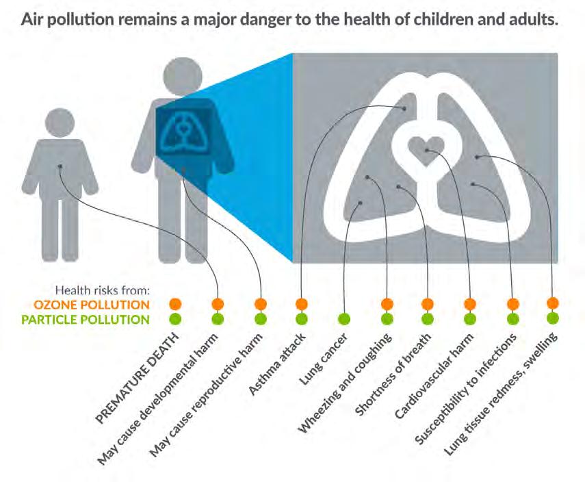HEALTH IMPACTS OF AIR POLLUTION Respiratory Illness Cardiovascular