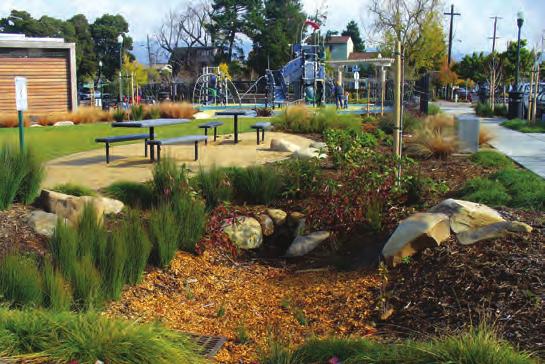 A Bay-Friendly Rated Landscape: A Case Study D O Y L E H O L L I S P A R K A New Park in Emeryville That s Good for the Community and the Bay Emeryville residents and workers have been flocking to
